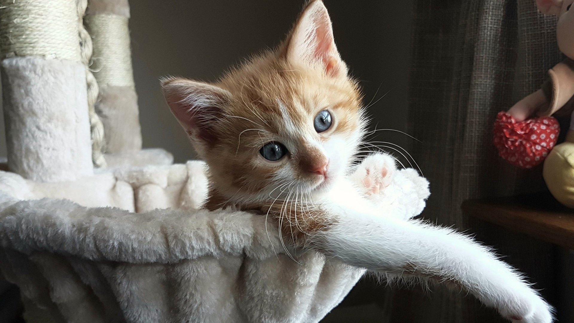 女子足球设立励志奖项鼓励球员坚持长期训练,女子足球口号