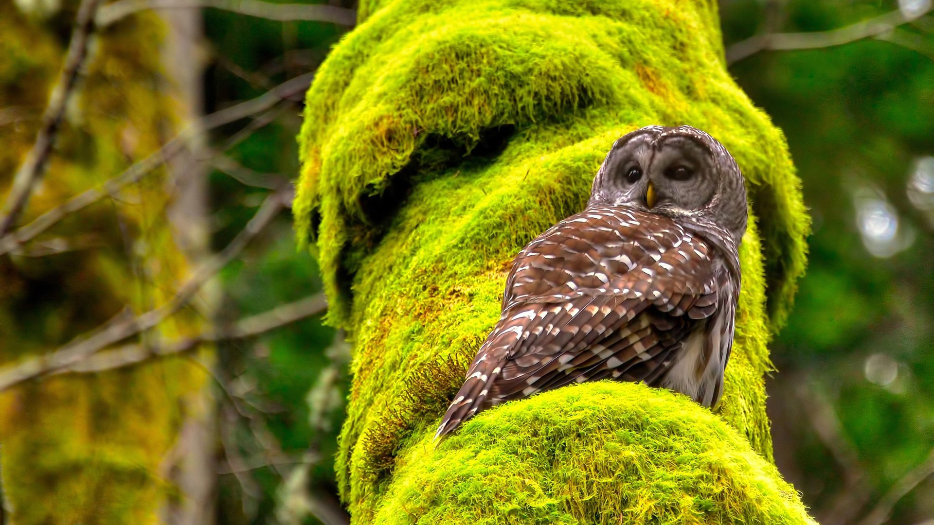 乐鱼体育app在线登录-新闻中心提醒运动装备标准升级旧器材置换方案，旧运动器材回收