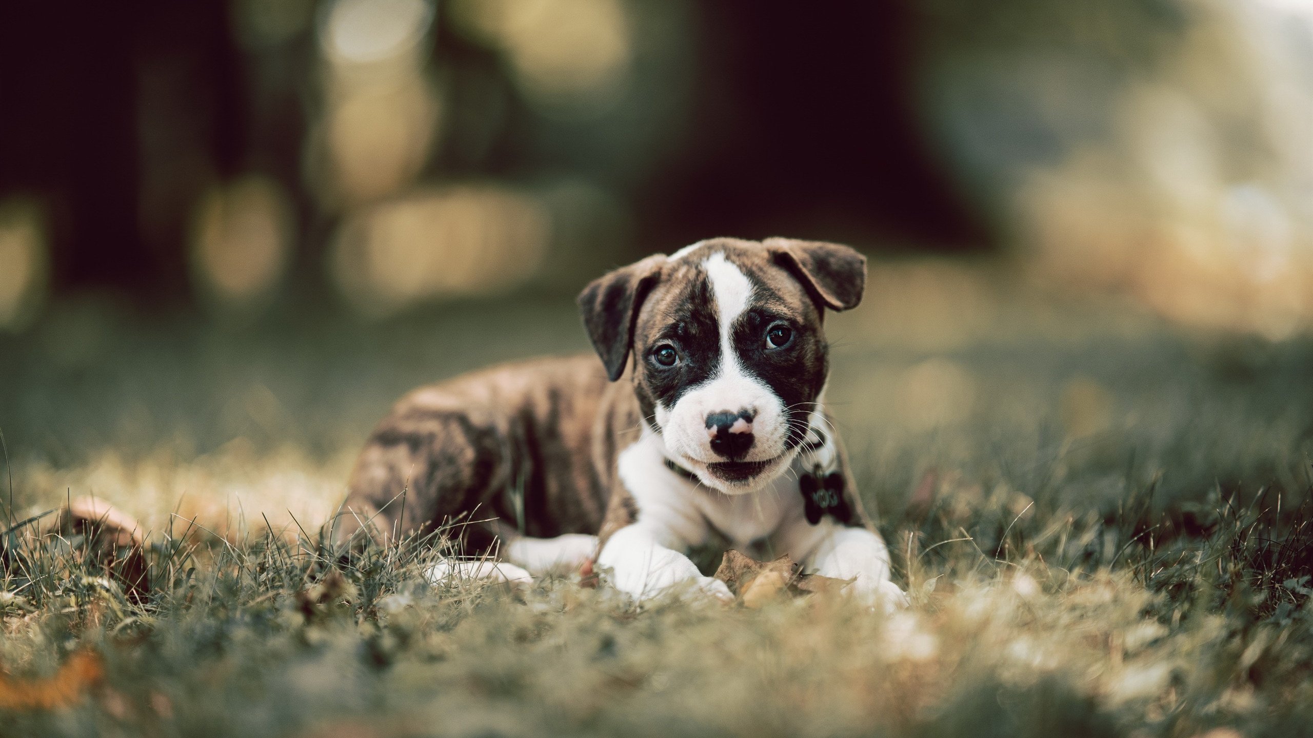 水球终场绝杀南非女将力挽狂澜,南非女子水球