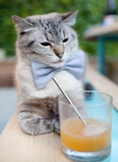 英超冲刺激烈：悬念、精彩、激情不断！，英超精彩视频