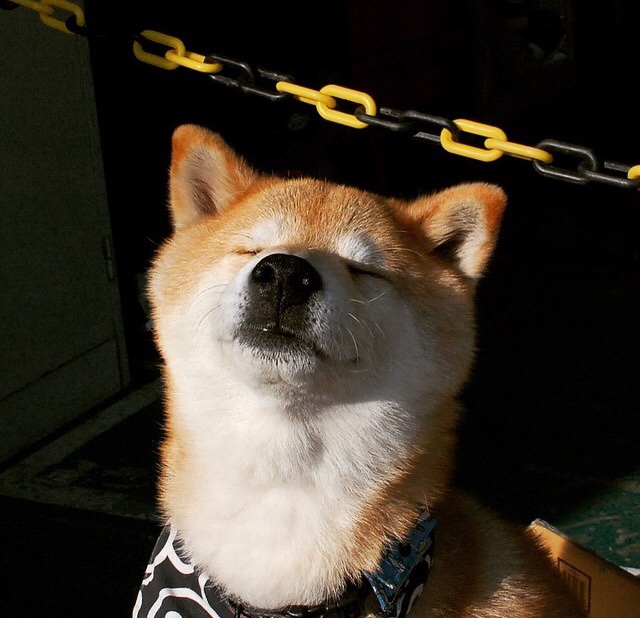 西甲狂潮来袭：技术与战术结合的盛宴，西甲榜首大战